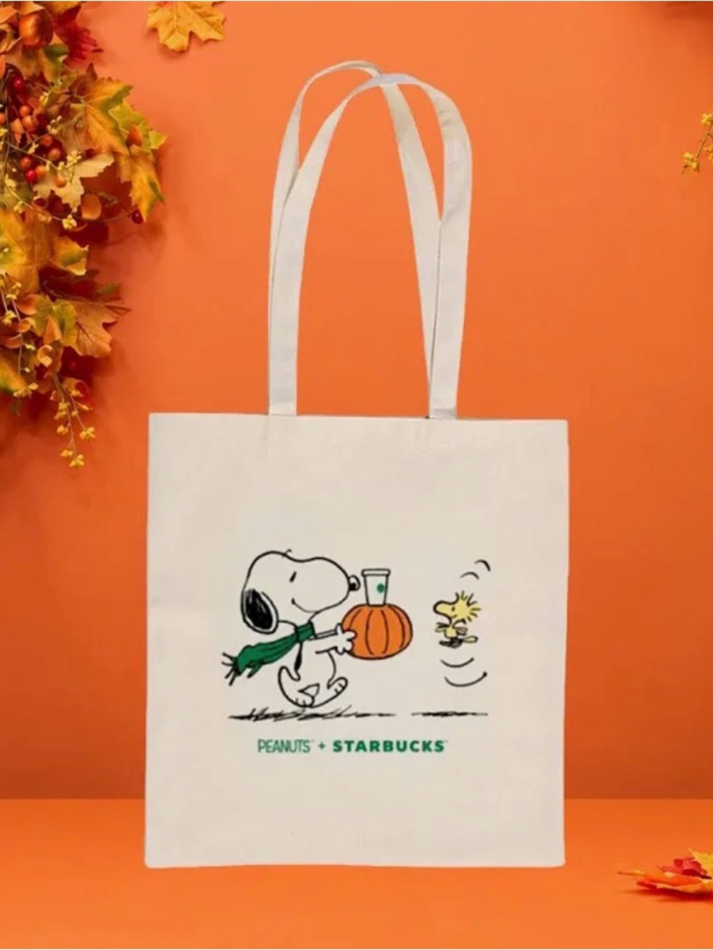NWT Starbucks x Snoopy / Peanuts Canvas Tote
